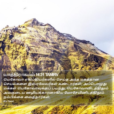 யாத்திராகமம் 14:31 TAMIRV Bible Verse Image