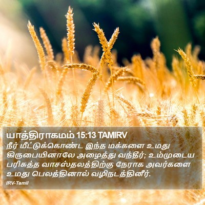 யாத்திராகமம் 15:13 TAMIRV Bible Verse Image