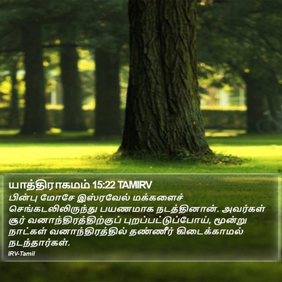 யாத்திராகமம் 15:22 TAMIRV Bible Verse Image