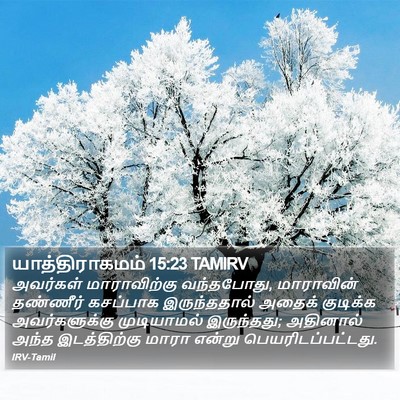 யாத்திராகமம் 15:23 TAMIRV Bible Verse Image