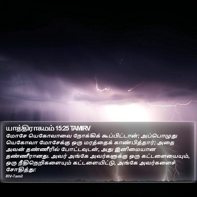 யாத்திராகமம் 15:25 TAMIRV Bible Verse Image