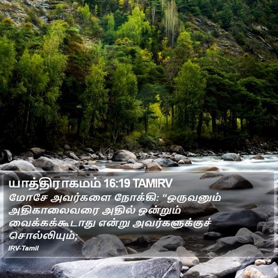யாத்திராகமம் 16:19 TAMIRV Bible Verse Image