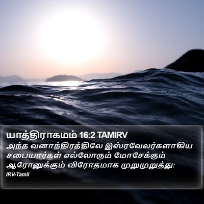 யாத்திராகமம் 16:2 TAMIRV Bible Verse Image