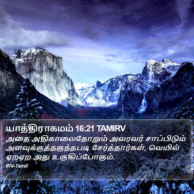 யாத்திராகமம் 16:21 TAMIRV Bible Verse Image