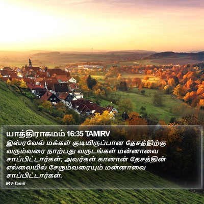 யாத்திராகமம் 16:35 TAMIRV Bible Verse Image