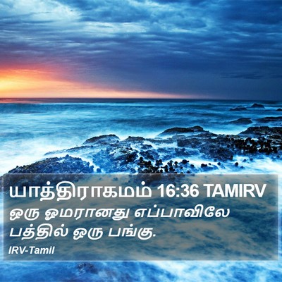 யாத்திராகமம் 16:36 TAMIRV Bible Verse Image