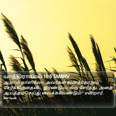 யாத்திராகமம் 16:5 TAMIRV Bible Verse Image