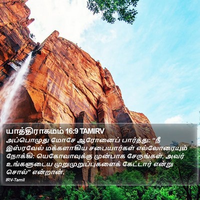 யாத்திராகமம் 16:9 TAMIRV Bible Verse Image