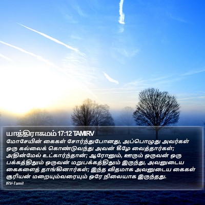 யாத்திராகமம் 17:12 TAMIRV Bible Verse Image