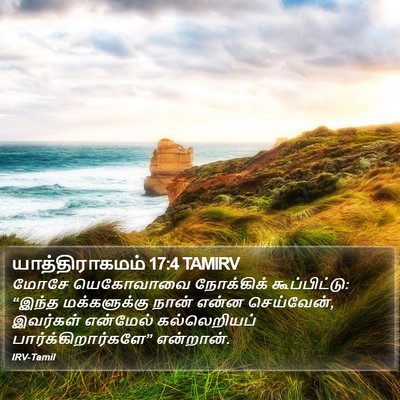 யாத்திராகமம் 17:4 TAMIRV Bible Verse Image
