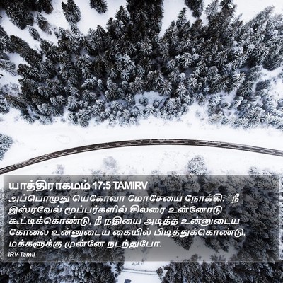 யாத்திராகமம் 17:5 TAMIRV Bible Verse Image