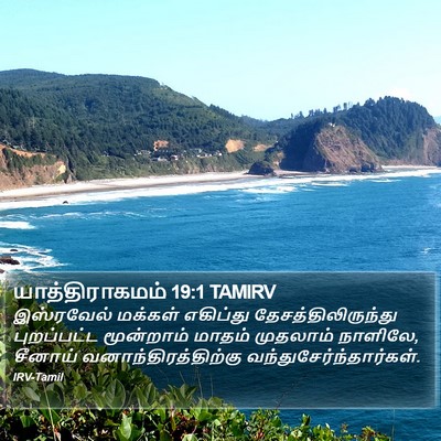 யாத்திராகமம் 19:1 TAMIRV Bible Verse Image