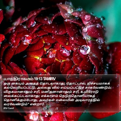 யாத்திராகமம் 19:13 TAMIRV Bible Verse Image