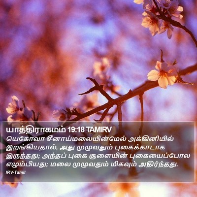 யாத்திராகமம் 19:18 TAMIRV Bible Verse Image