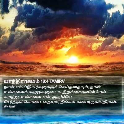 யாத்திராகமம் 19:4 TAMIRV Bible Verse Image
