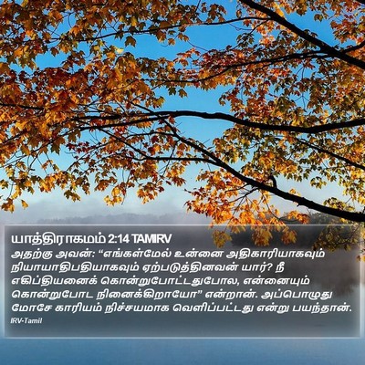 யாத்திராகமம் 2:14 TAMIRV Bible Verse Image