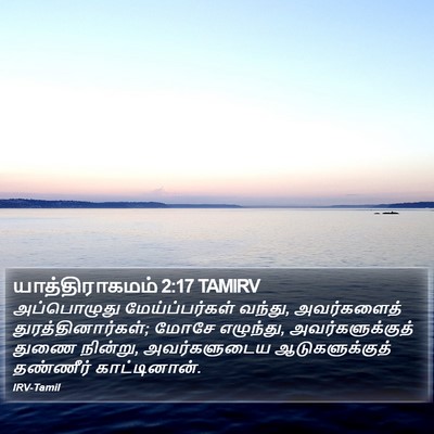 யாத்திராகமம் 2:17 TAMIRV Bible Verse Image