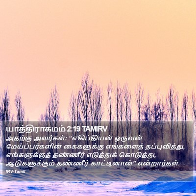 யாத்திராகமம் 2:19 TAMIRV Bible Verse Image
