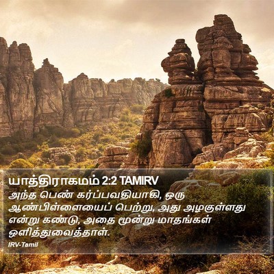 யாத்திராகமம் 2:2 TAMIRV Bible Verse Image
