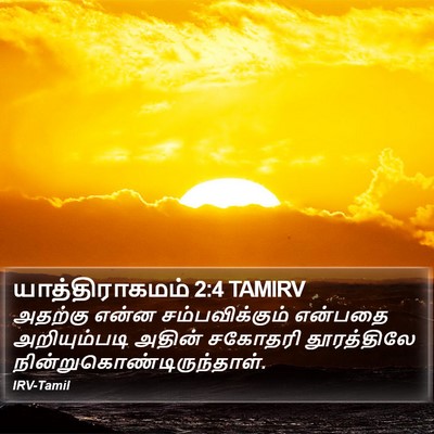 யாத்திராகமம் 2:4 TAMIRV Bible Verse Image