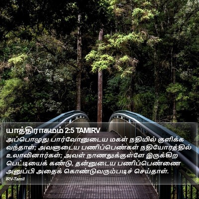 யாத்திராகமம் 2:5 TAMIRV Bible Verse Image