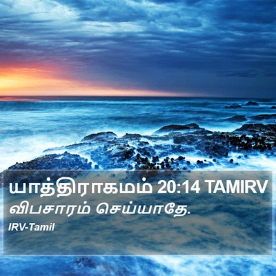 யாத்திராகமம் 20:14 TAMIRV Bible Verse Image