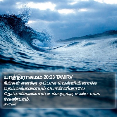 யாத்திராகமம் 20:23 TAMIRV Bible Verse Image