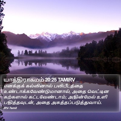 யாத்திராகமம் 20:25 TAMIRV Bible Verse Image