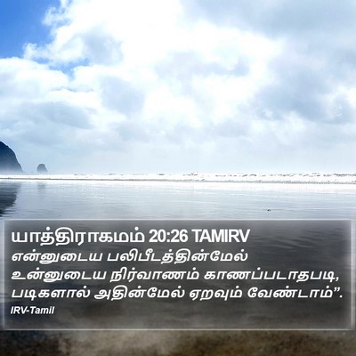 யாத்திராகமம் 20:26 TAMIRV Bible Verse Image