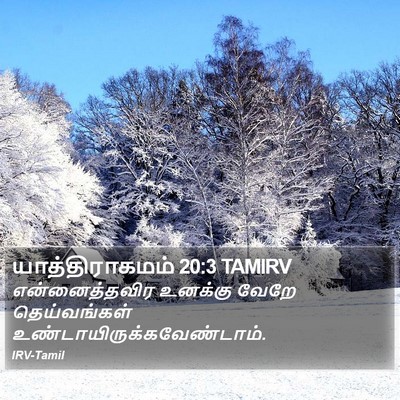 யாத்திராகமம் 20:3 TAMIRV Bible Verse Image