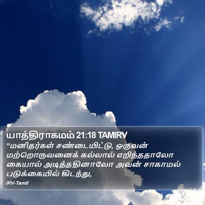 யாத்திராகமம் 21:18 TAMIRV Bible Verse Image