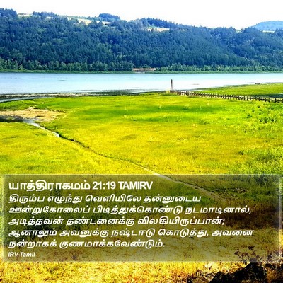 யாத்திராகமம் 21:19 TAMIRV Bible Verse Image