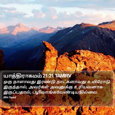 யாத்திராகமம் 21:21 TAMIRV Bible Verse Image