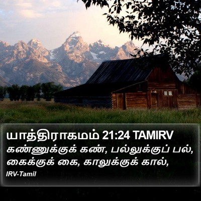 யாத்திராகமம் 21:24 TAMIRV Bible Verse Image