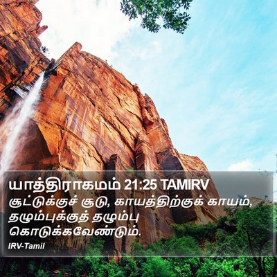 யாத்திராகமம் 21:25 TAMIRV Bible Verse Image