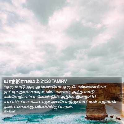 யாத்திராகமம் 21:28 TAMIRV Bible Verse Image