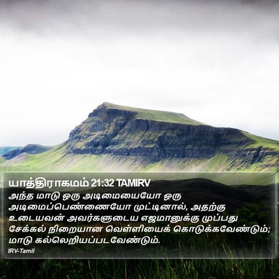 யாத்திராகமம் 21:32 TAMIRV Bible Verse Image
