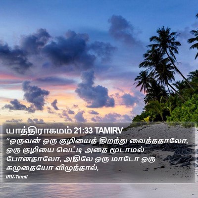 யாத்திராகமம் 21:33 TAMIRV Bible Verse Image
