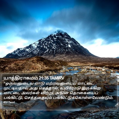 யாத்திராகமம் 21:35 TAMIRV Bible Verse Image