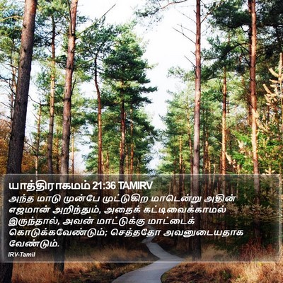 யாத்திராகமம் 21:36 TAMIRV Bible Verse Image