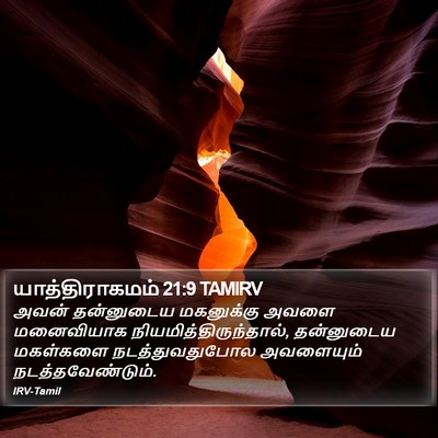 யாத்திராகமம் 21:9 TAMIRV Bible Verse Image