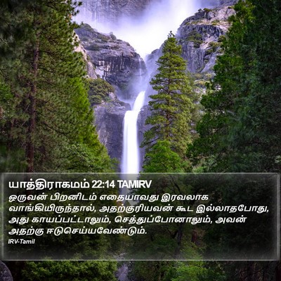 யாத்திராகமம் 22:14 TAMIRV Bible Verse Image