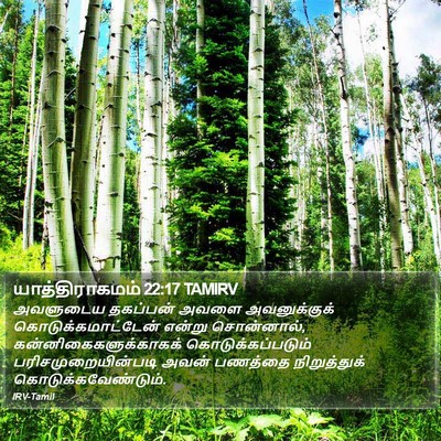 யாத்திராகமம் 22:17 TAMIRV Bible Verse Image
