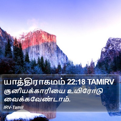 யாத்திராகமம் 22:18 TAMIRV Bible Verse Image