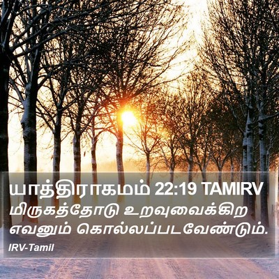 யாத்திராகமம் 22:19 TAMIRV Bible Verse Image