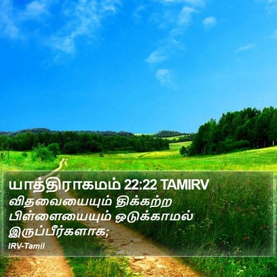 யாத்திராகமம் 22:22 TAMIRV Bible Verse Image