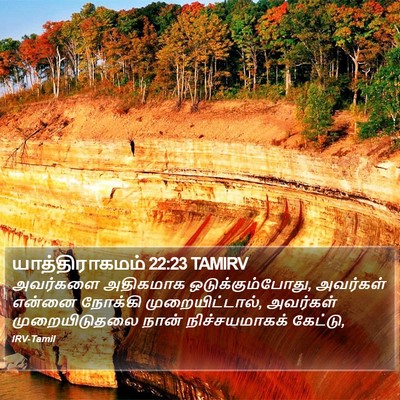 யாத்திராகமம் 22:23 TAMIRV Bible Verse Image
