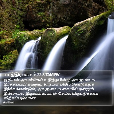 யாத்திராகமம் 22:3 TAMIRV Bible Verse Image