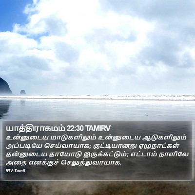 யாத்திராகமம் 22:30 TAMIRV Bible Verse Image