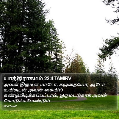 யாத்திராகமம் 22:4 TAMIRV Bible Verse Image